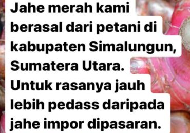 manfaat jahe merah buat kesehatan_466e604d2.jpg