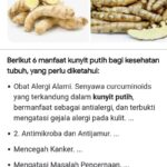 Manfaat Bubuk Kunyit Untuk Kesehatan